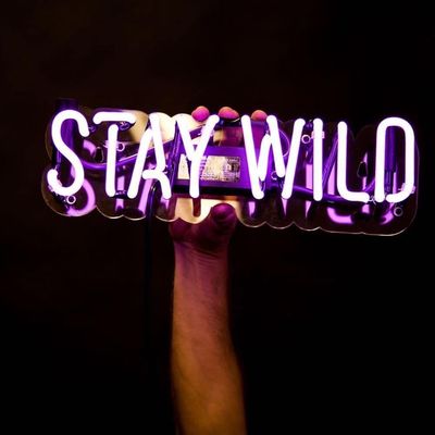 تابلوی نئون سفارشی عشق عروسی برای OEM ODM اتاق خواب